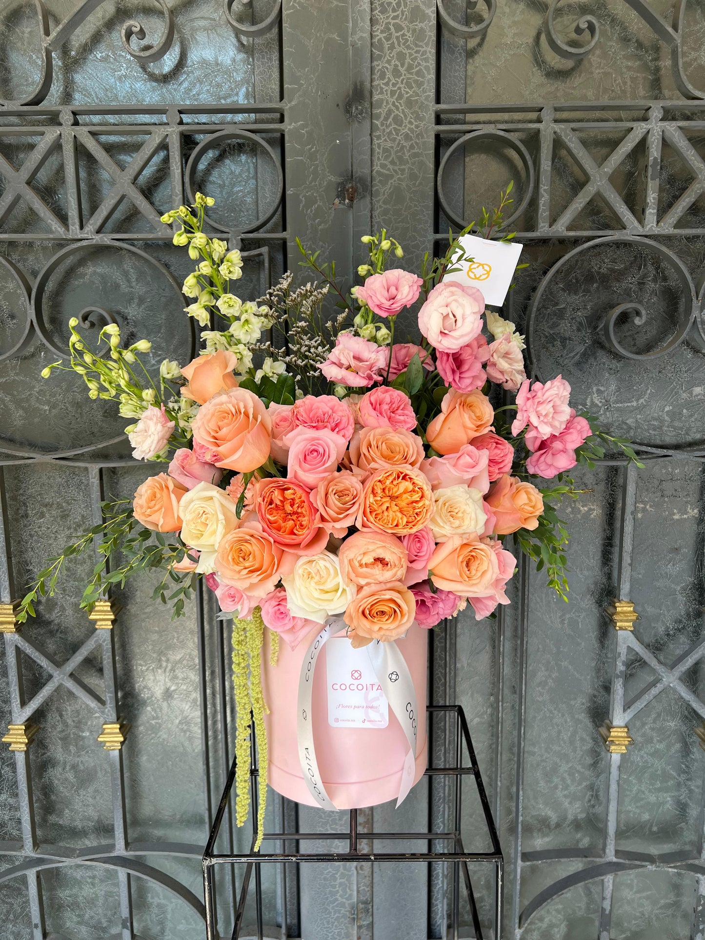 Caja Pink Peach