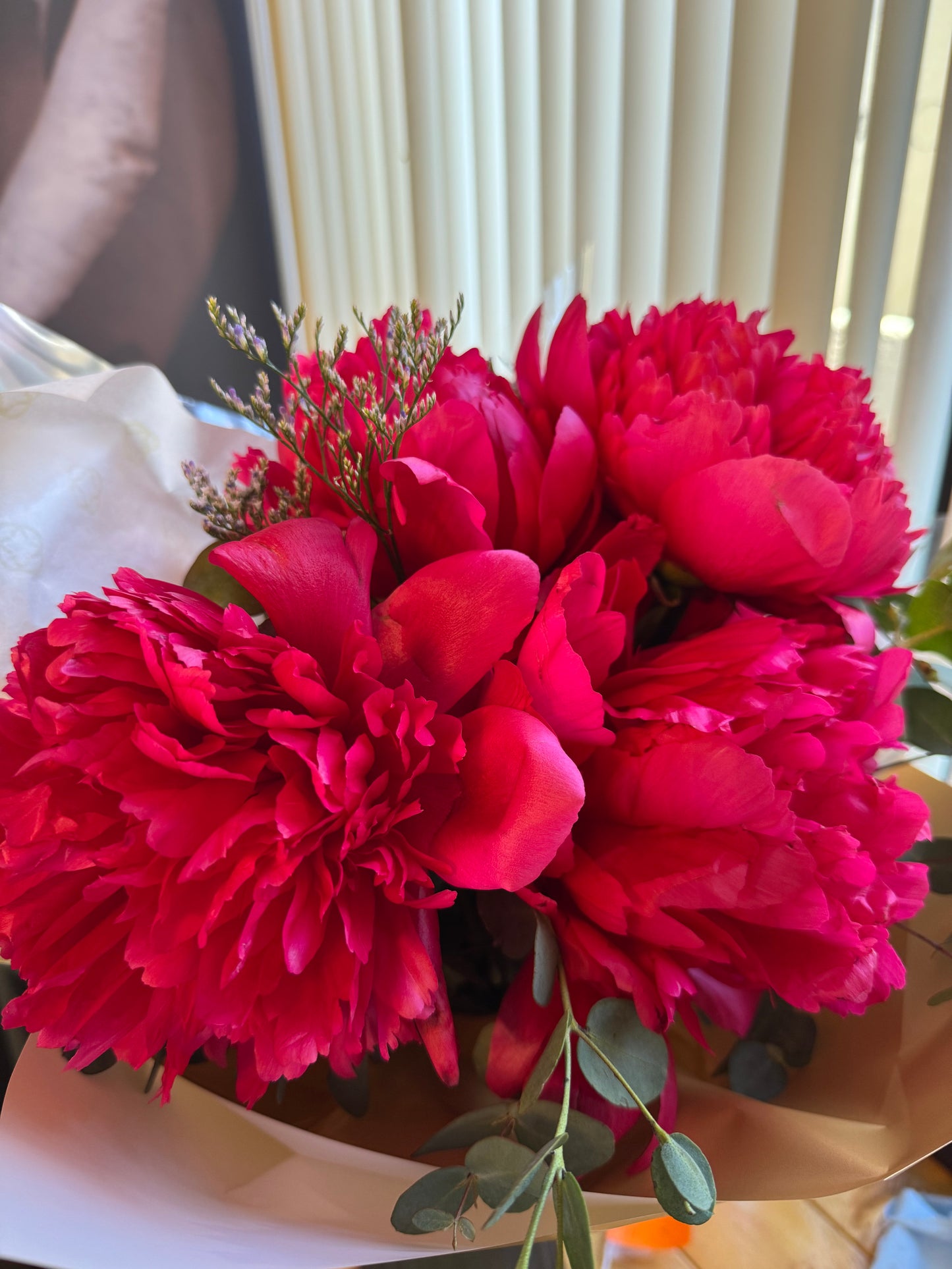 Peonias ETAPA 3