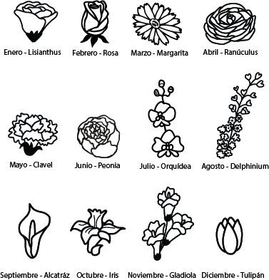 Mi Flor