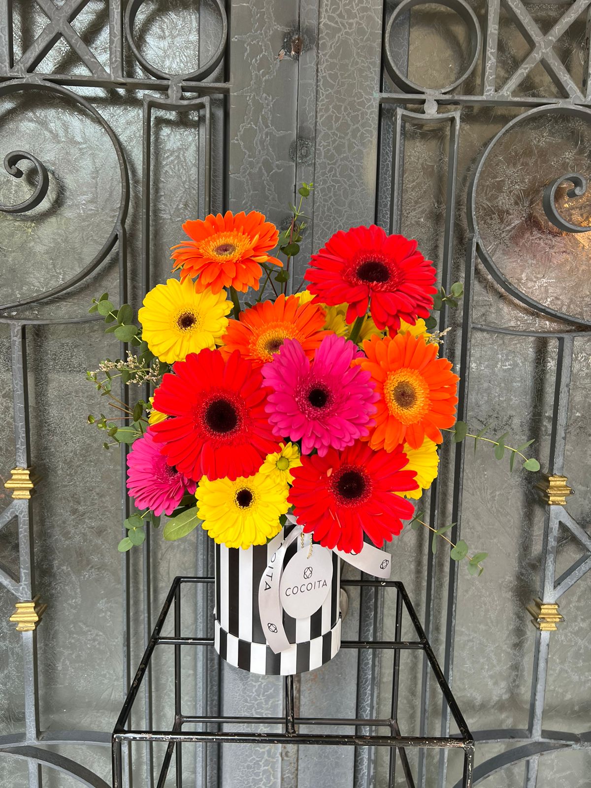 Caja Gerberas Brillante