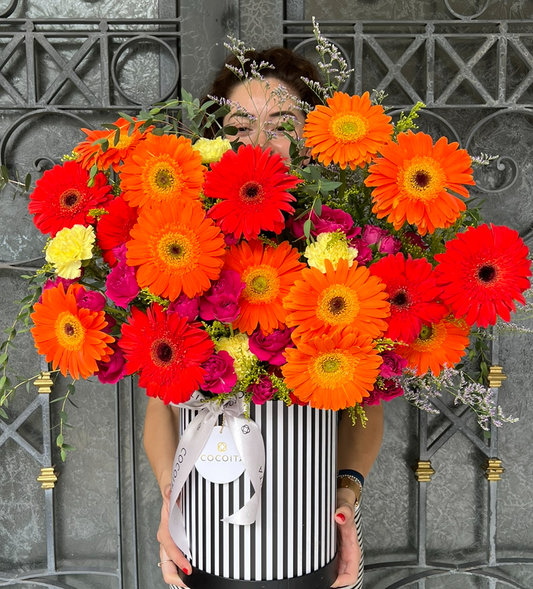 Caja Gerberas Brillante