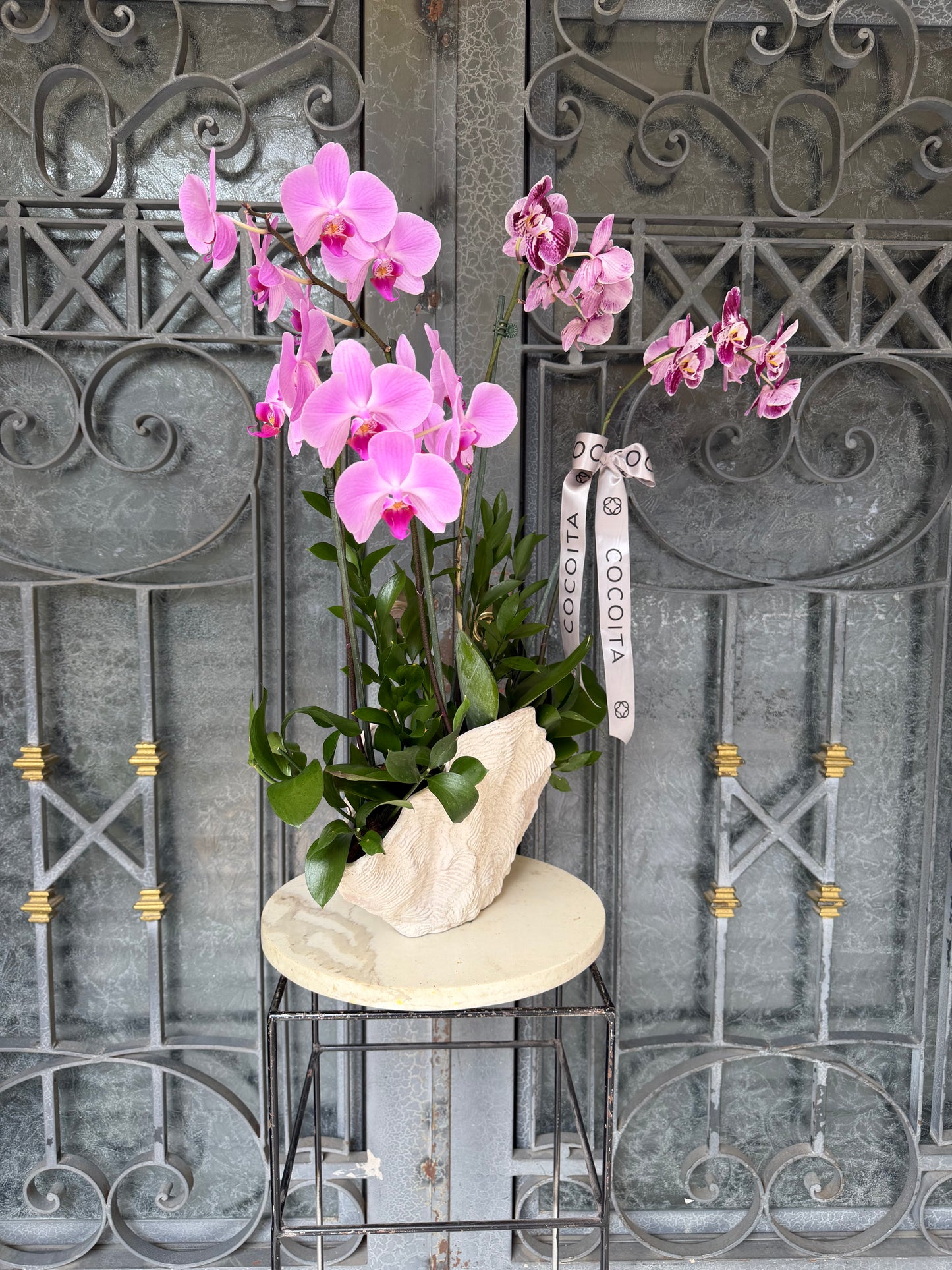MACETA CORAL CON ORQUIDEAS